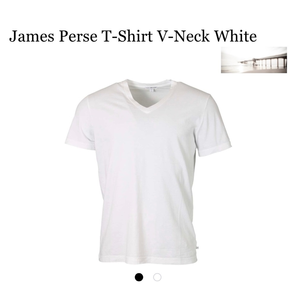 James Perse size 4 men’s v neck shirt